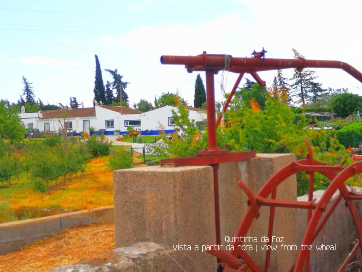Quintinha Da Foz Guest House Sao Pedro  المظهر الخارجي الصورة
