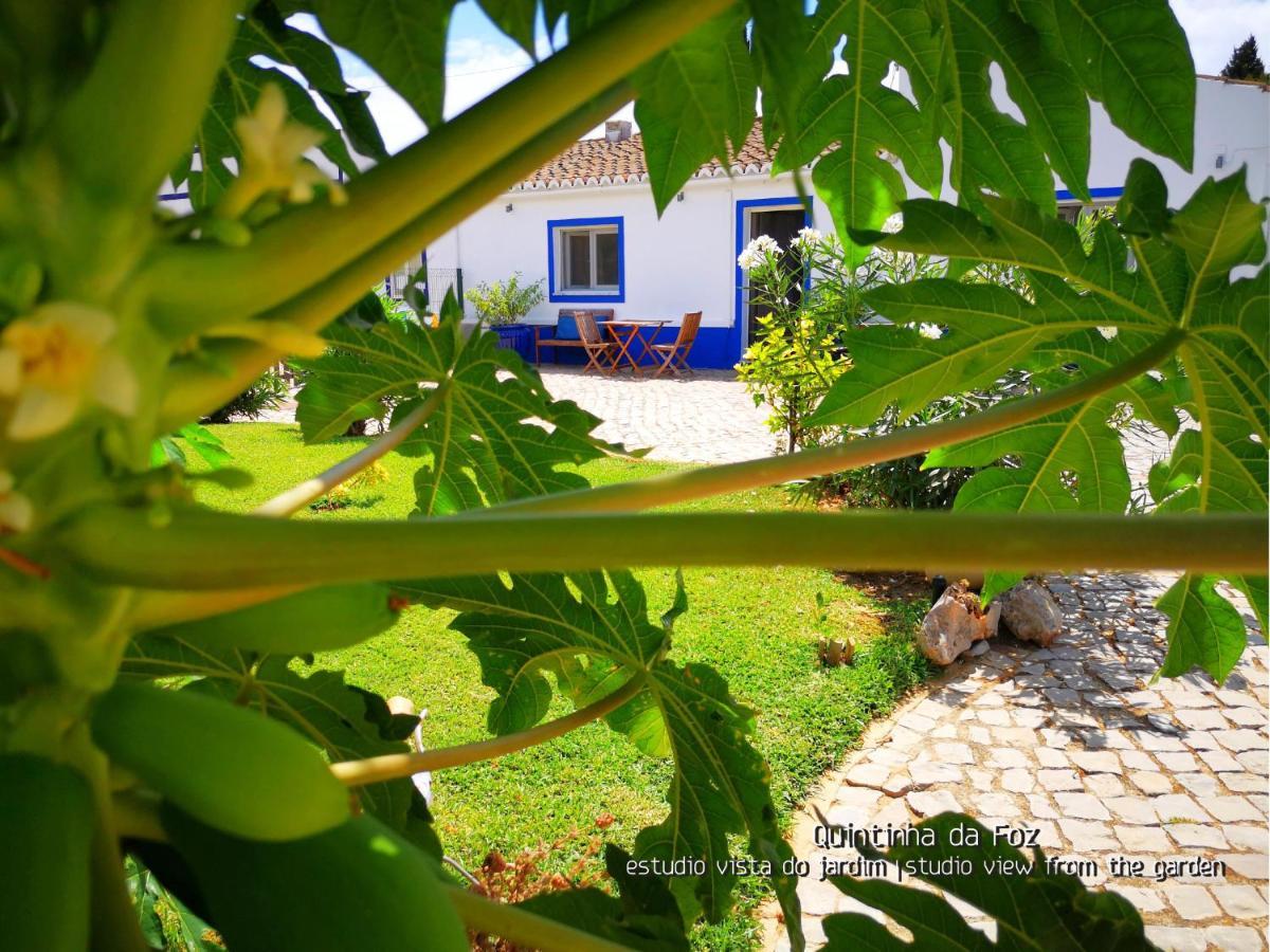 Quintinha Da Foz Guest House Sao Pedro  المظهر الخارجي الصورة