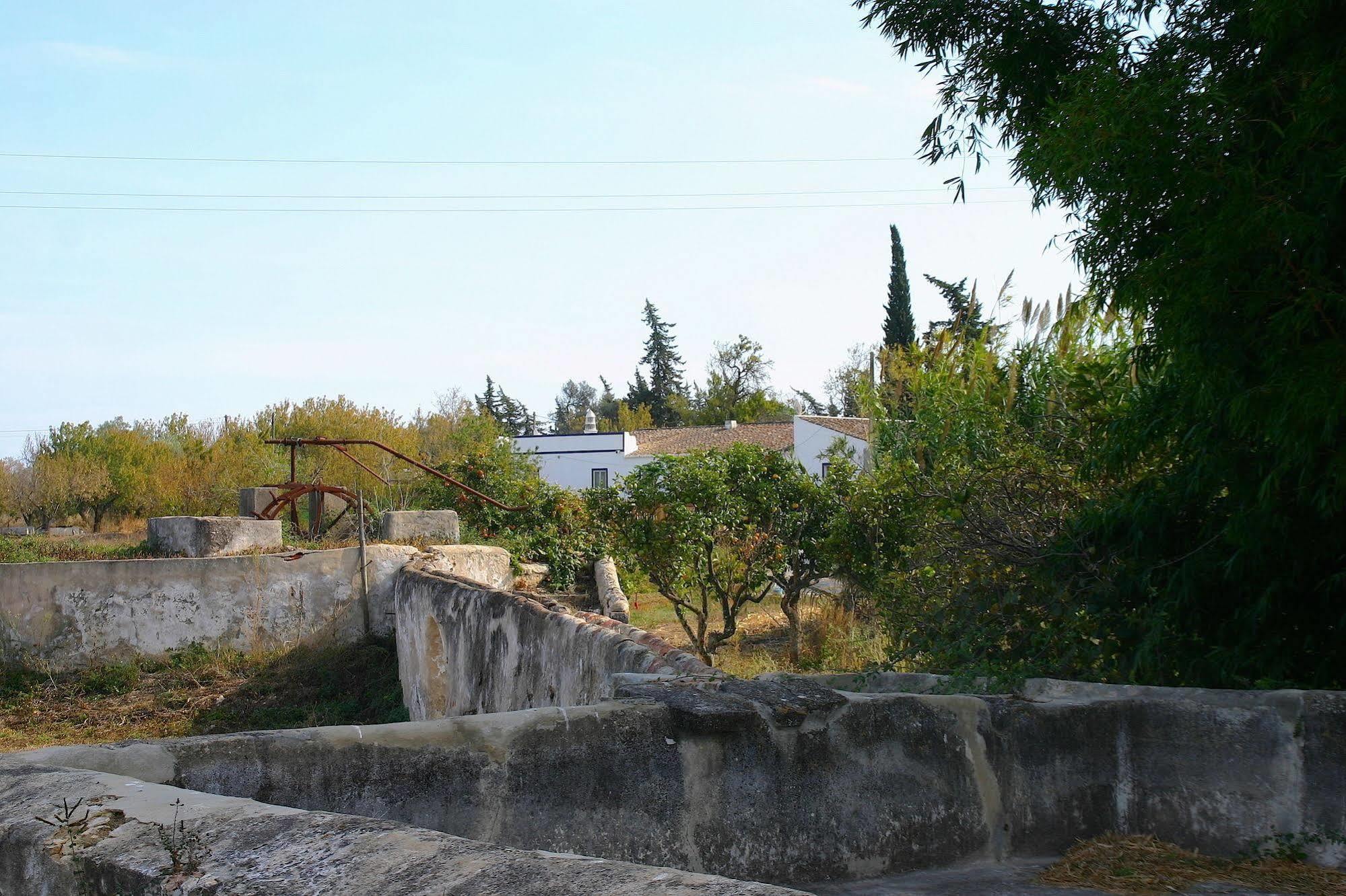 Quintinha Da Foz Guest House Sao Pedro  المظهر الخارجي الصورة